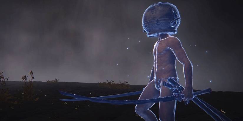 let me solo her tarnished player