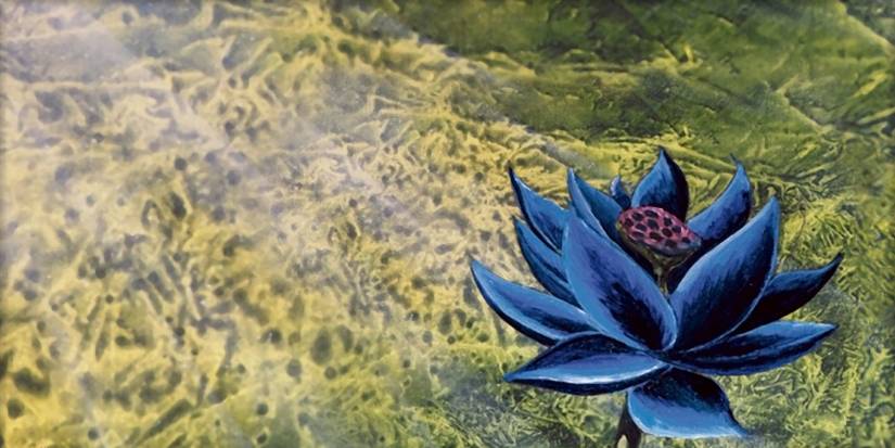 The Black Lotus is one of the most sought after cards in Magic history.