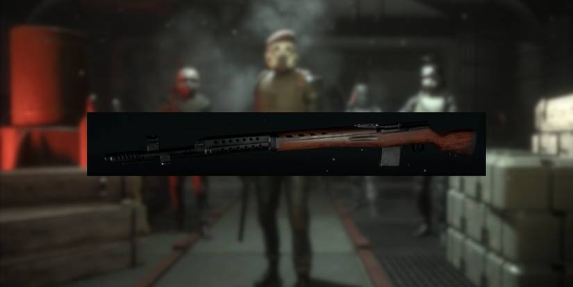 The SVT-40 in Marauders