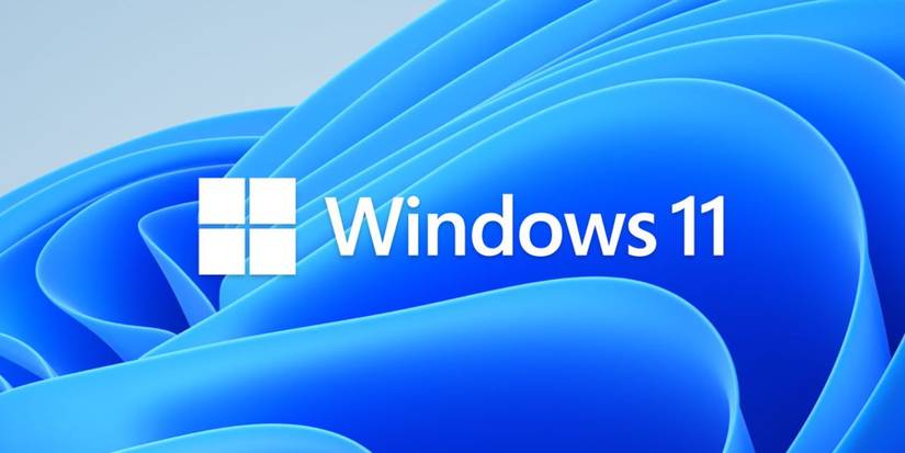 windows 11 logo