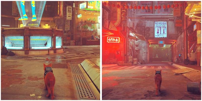 midtown entrance in stray