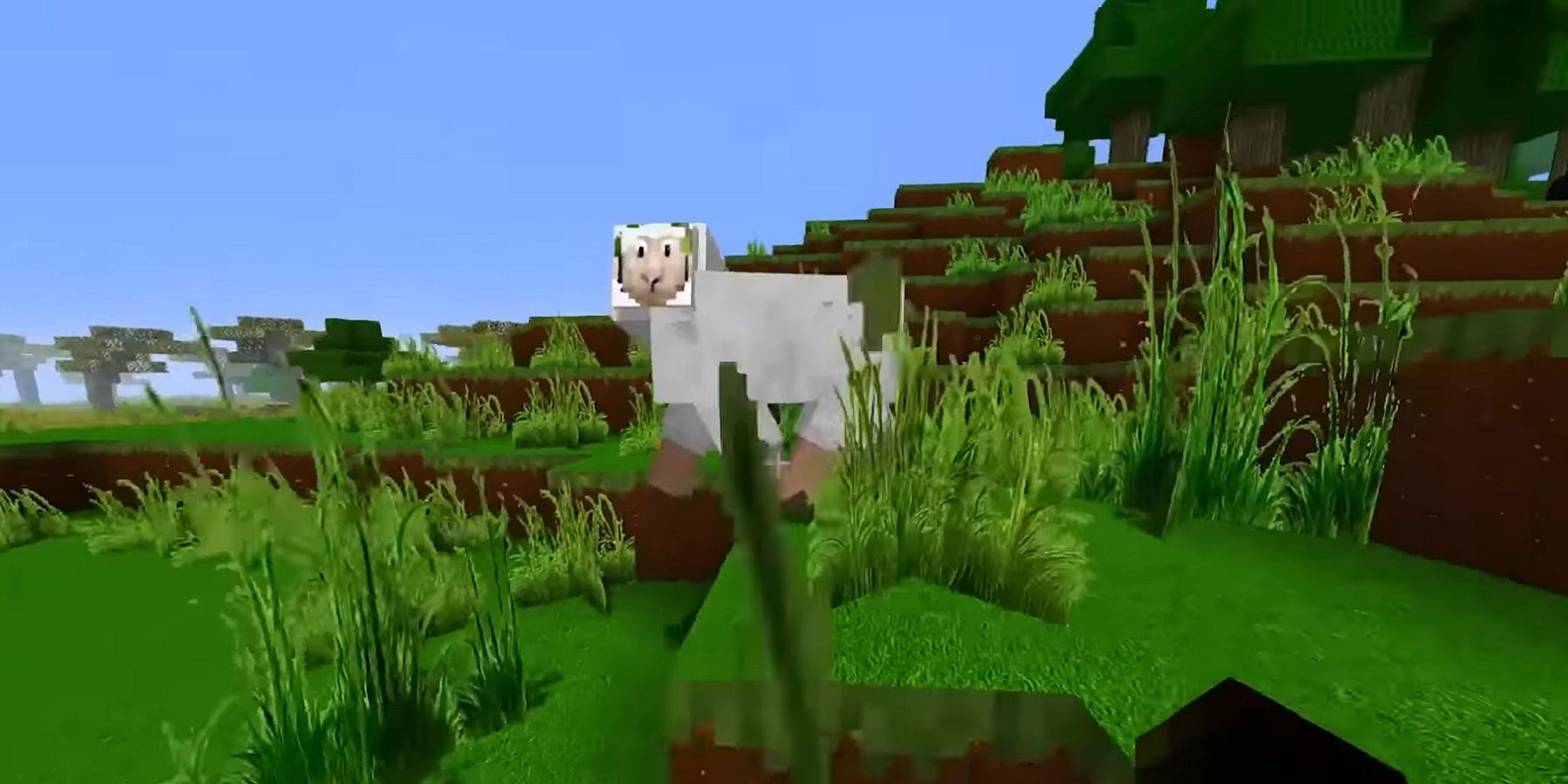 Image from Minecraft showing a sheep with an unusual face.