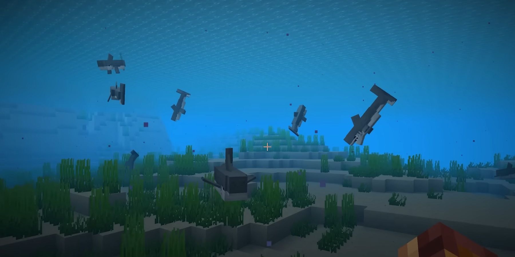 Screenshot from Minecraft showing a bunch of sharks in the water.