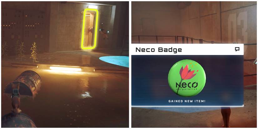 neco badge in stray