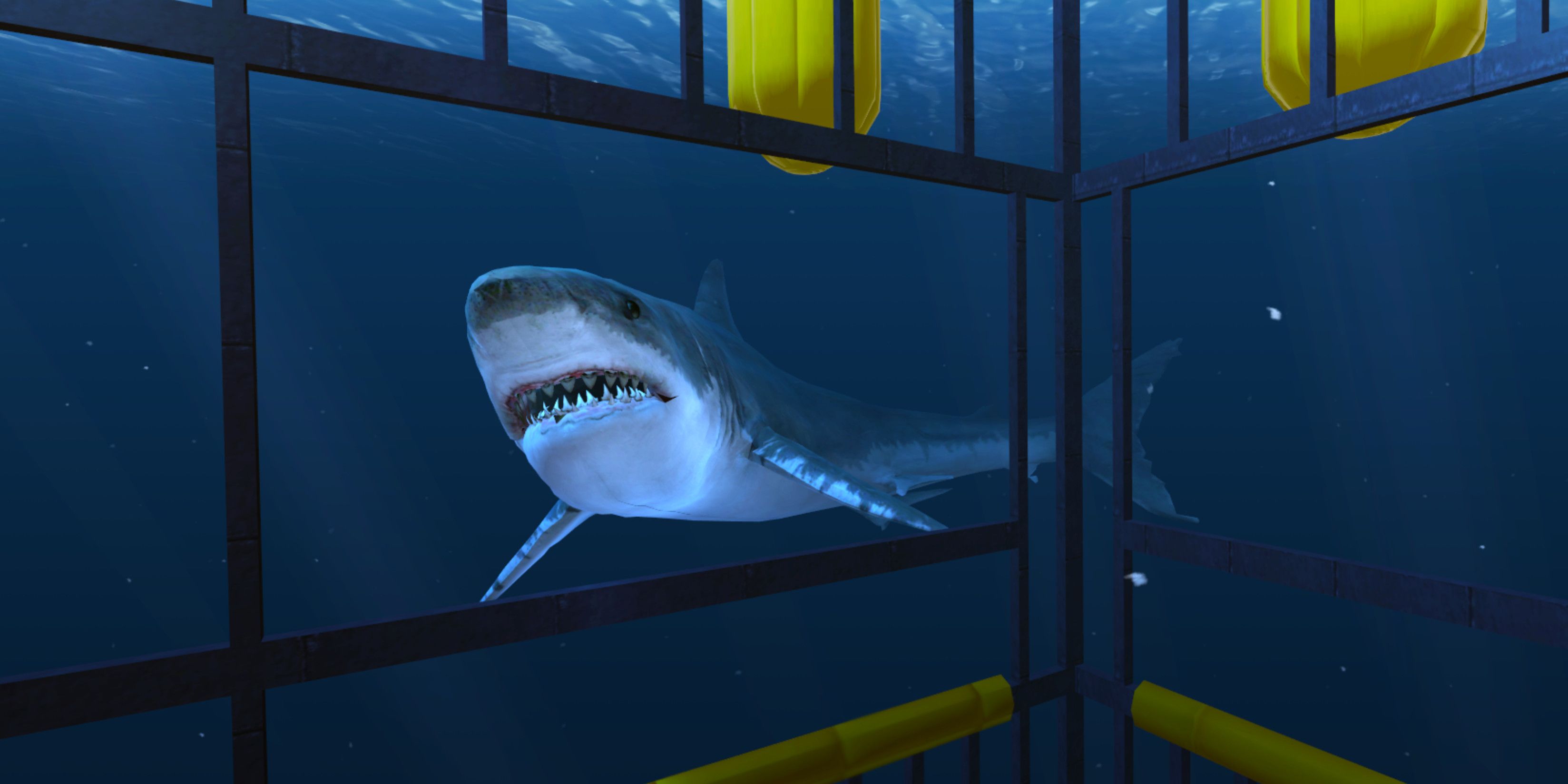 Player looking at a great white shark from inside diver's cage