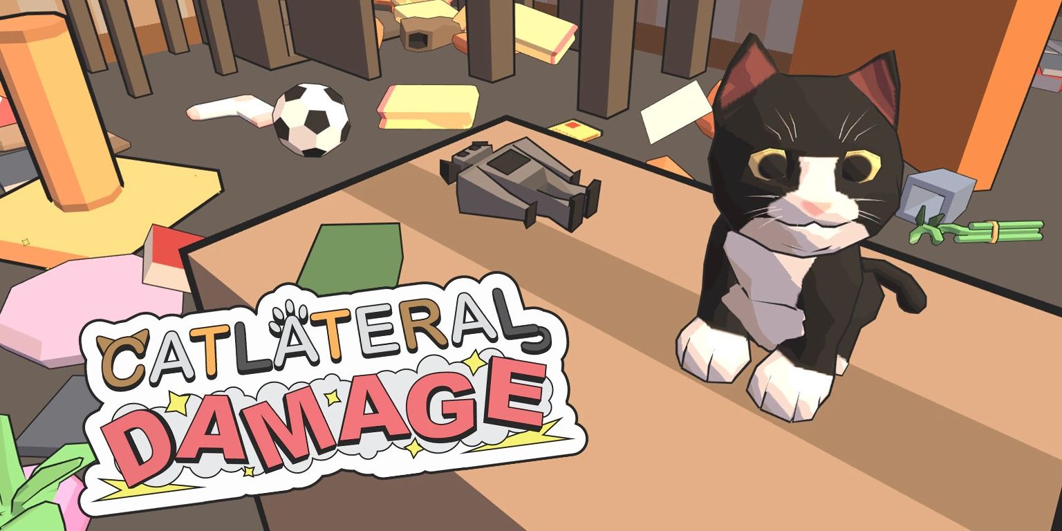 pic0 CroppedCat in destroyed room, Catlateral Damage