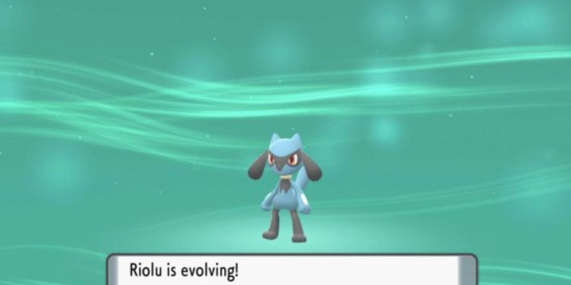 pokemon riolu (1)