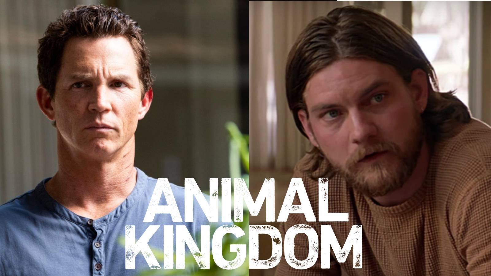 Pope and Deran Cody in Animal Kingdom split image