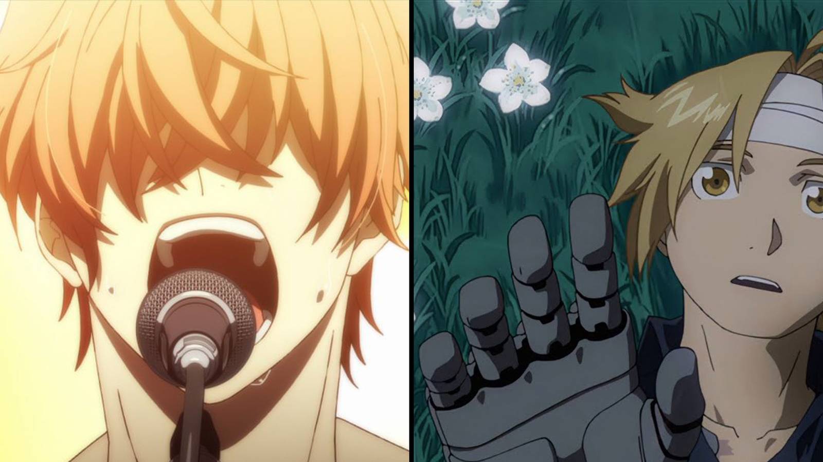 given full metal alchemist brotherhood