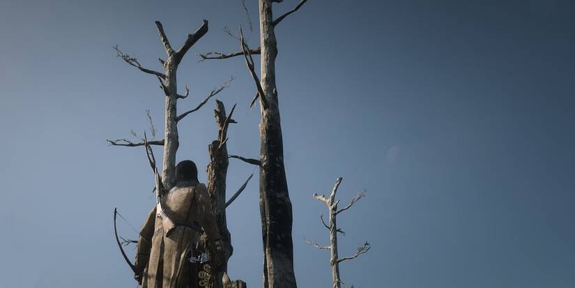 red-dead-online-tree