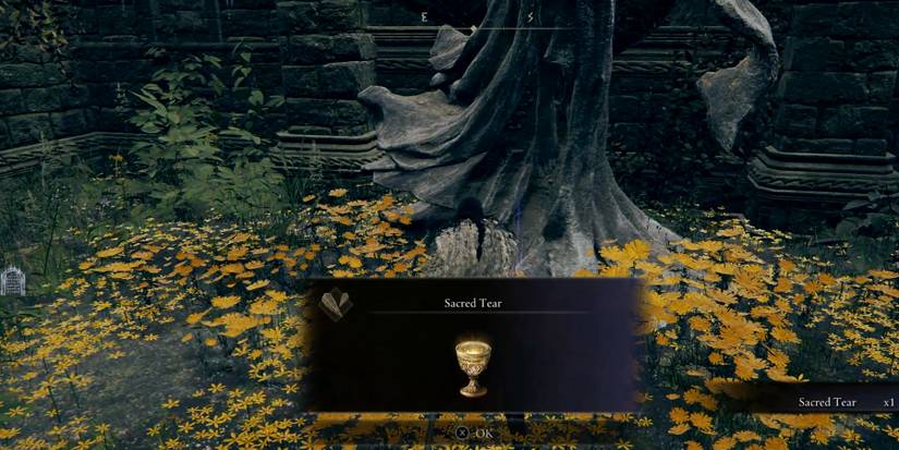 sacred tear in elden ring