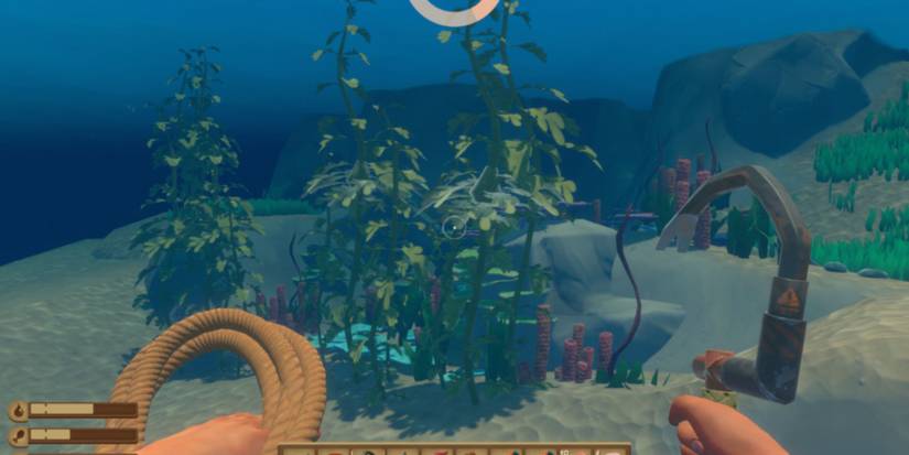 seaweed vine goo raft