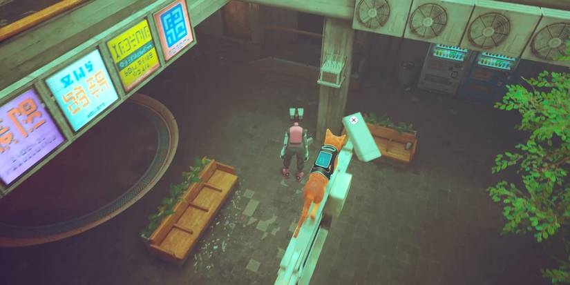 second surveillance camera in stray