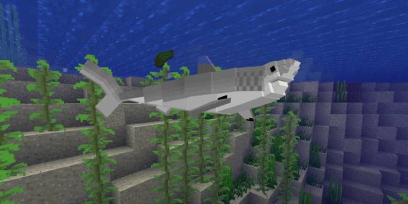 Shark in Minecraft