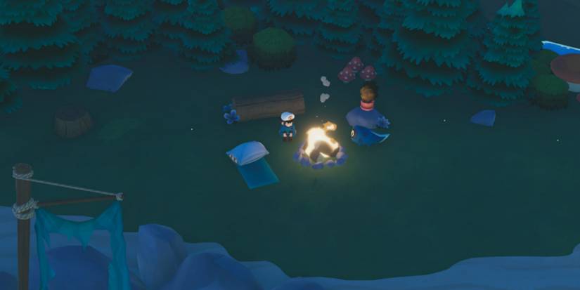sitting next to the campfire at night in time on frog island