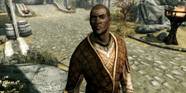 Best Skyrim NPCs