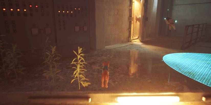 slightly opened door leads to woker in stray