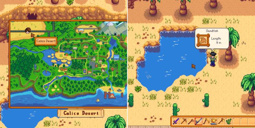 stardew valley calico desert fish