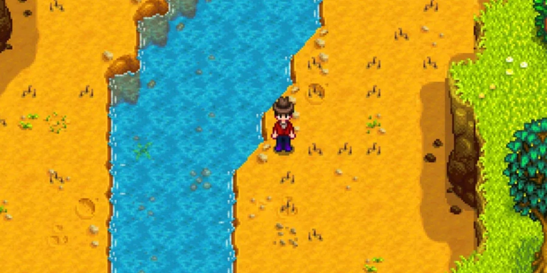 Stardew Valley multiple Artifact Spots by the river