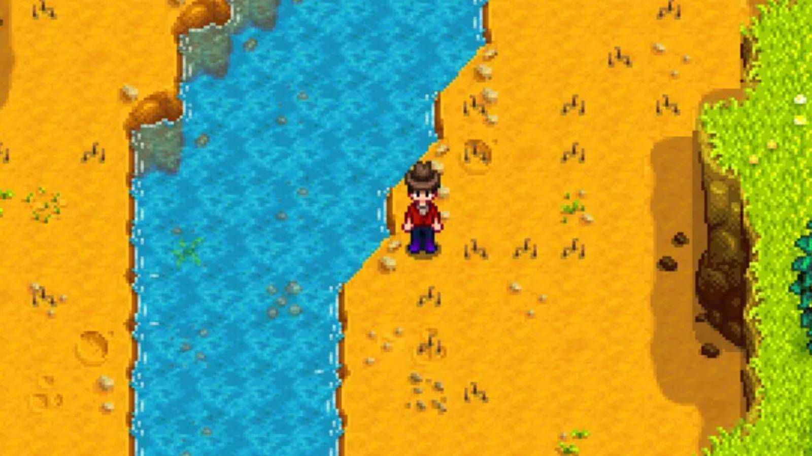 Stardew Valley multiple Artifact Spots by the river