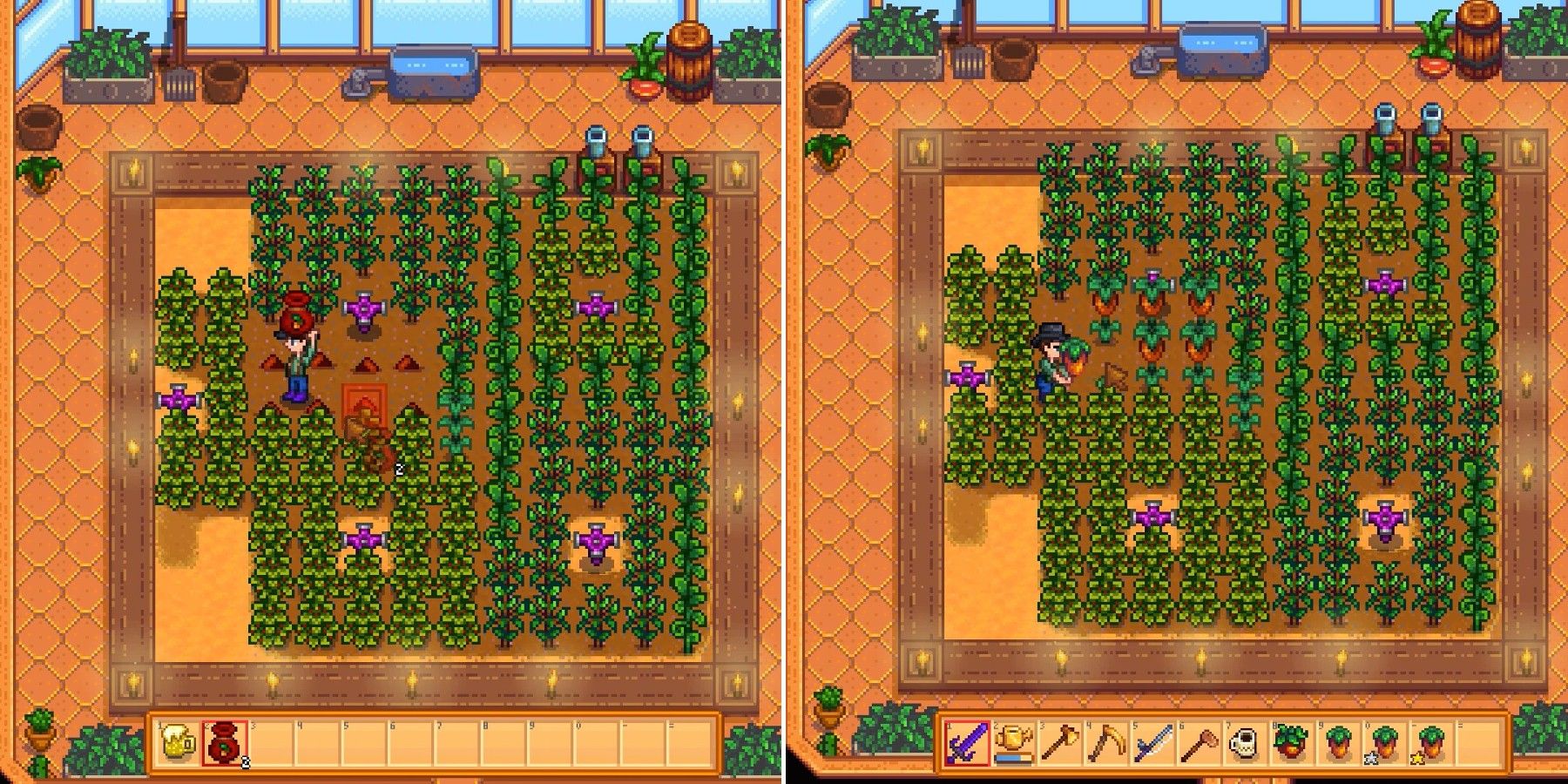 stardew valley rare seed sweet berry