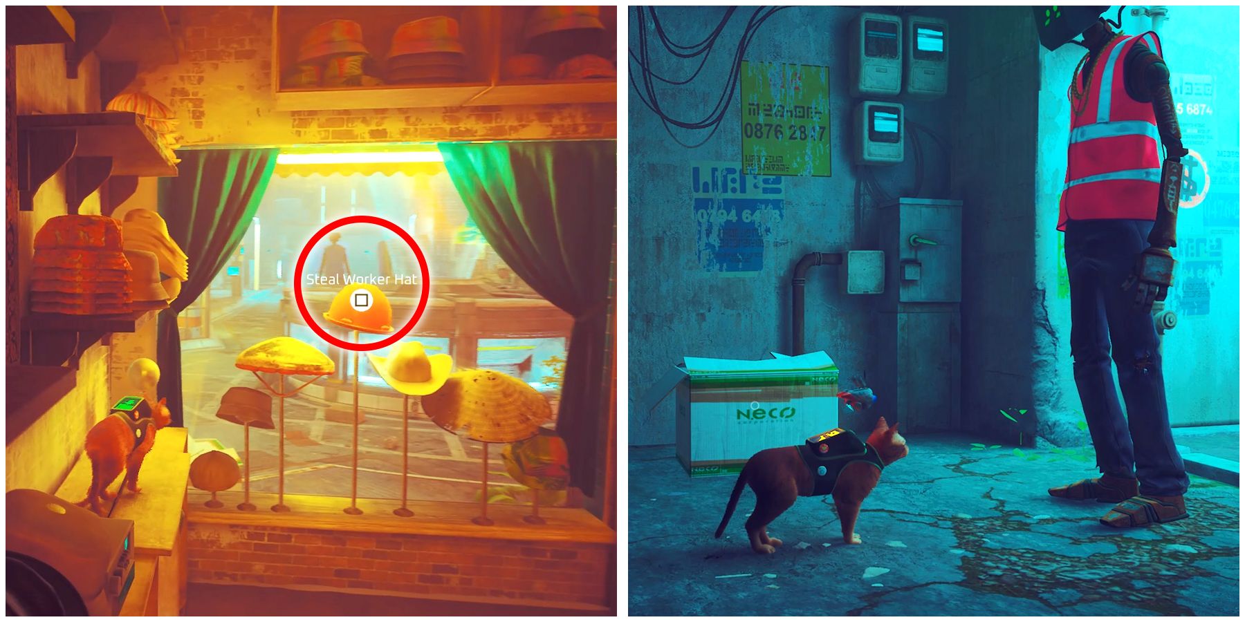 stealing the woeker hat in stray