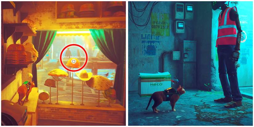 stealing the woeker hat in stray 