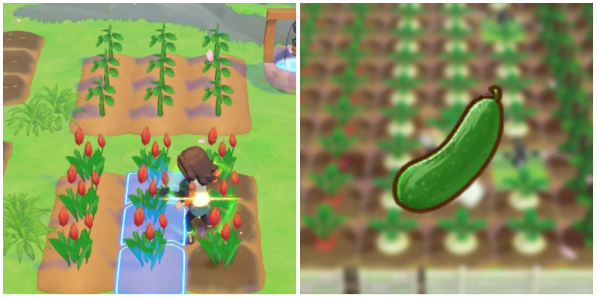 story of seasons spring crops