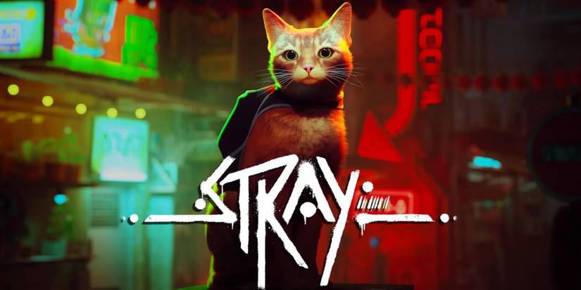 stray cat and logo
