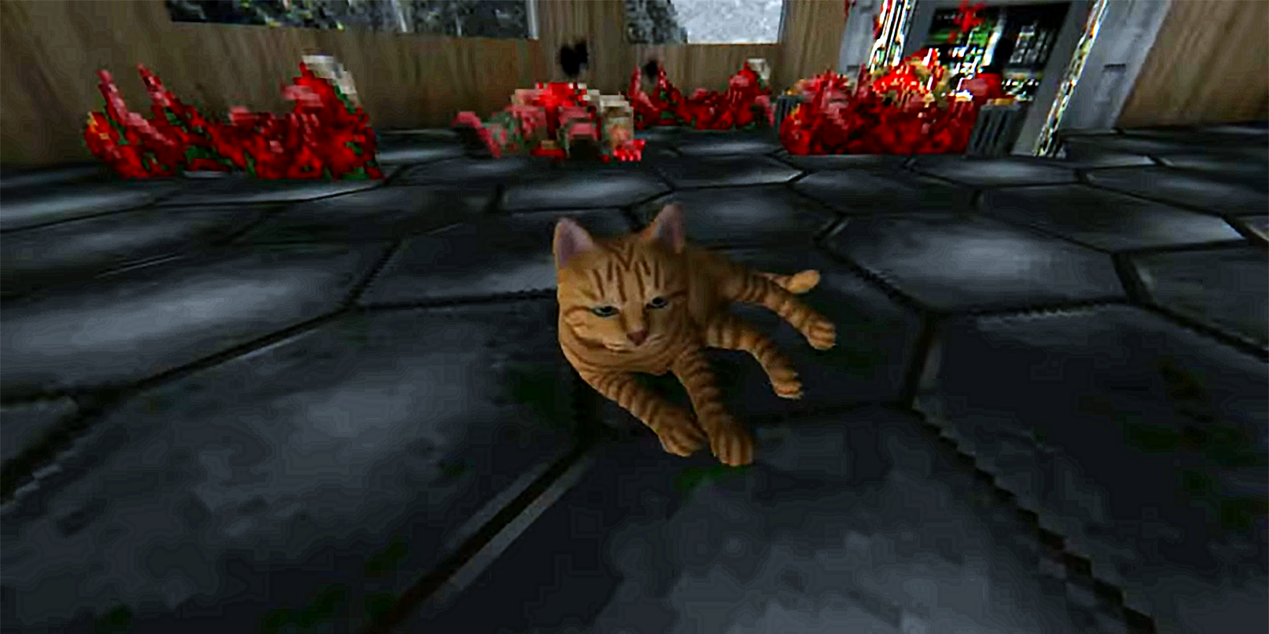 cat from stray in doom using a mod