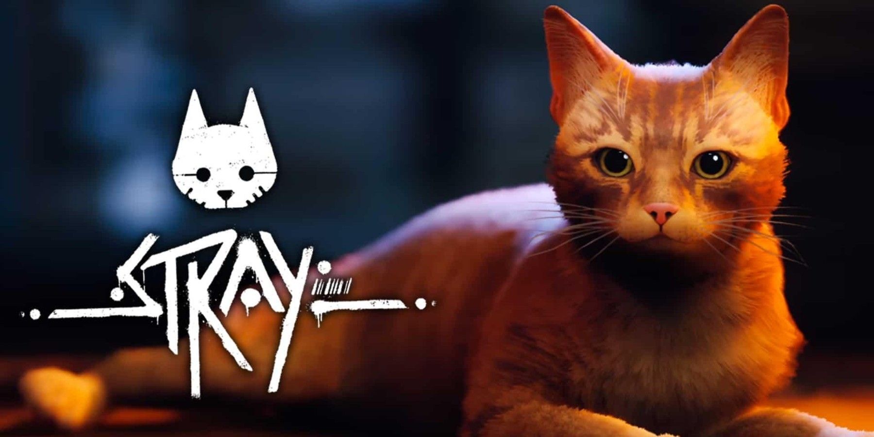 Stray, a video game with a feline hero, brings some benefits to real cats