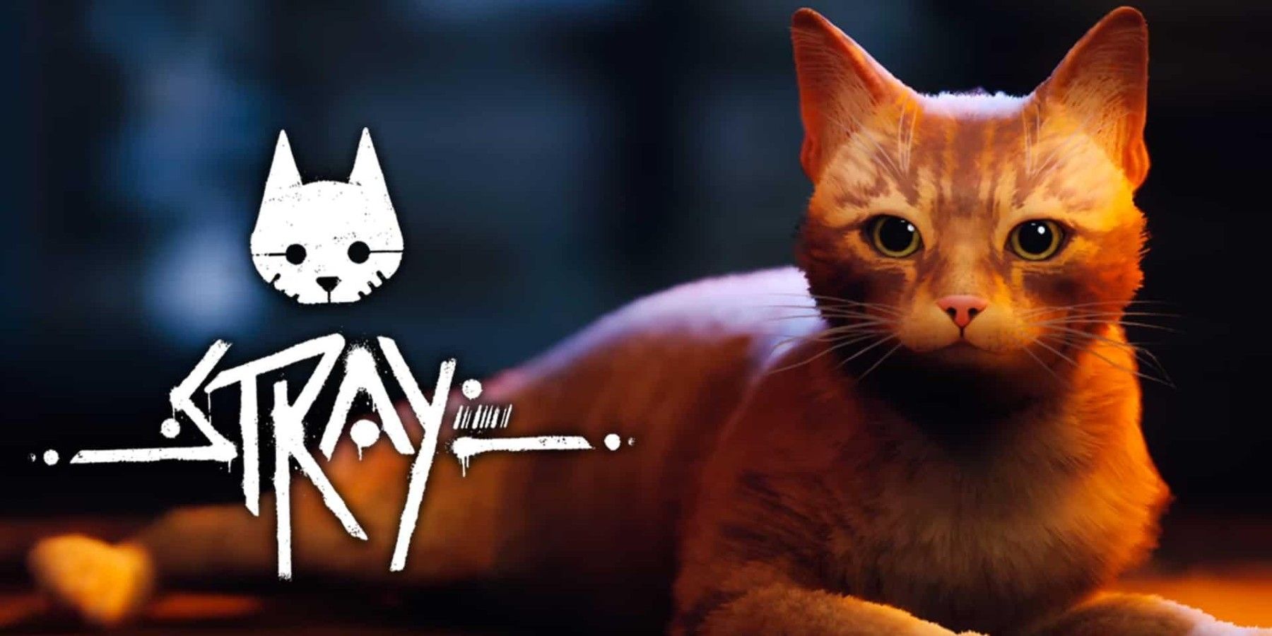 Cat Game 'Stray' Introduces Three Real Life Feline Stars