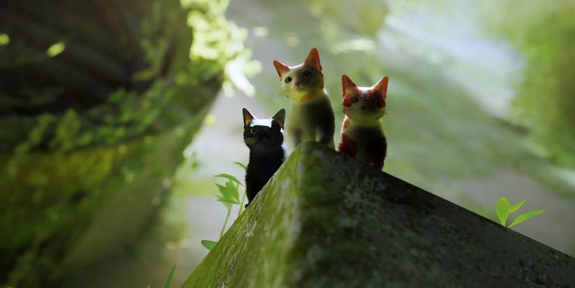 stray-chapter-1-inside-the-wall-complete-guide-05-falling-down