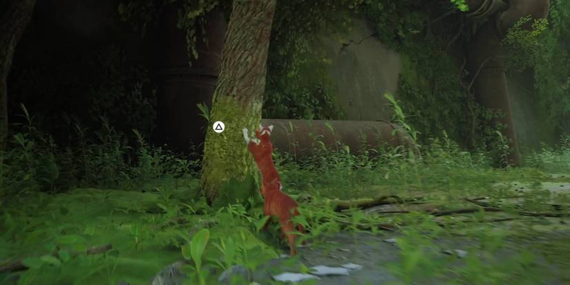 stray-chapter-1-inside-the-wall-complete-guide-06-scratch-point-territory-trophy