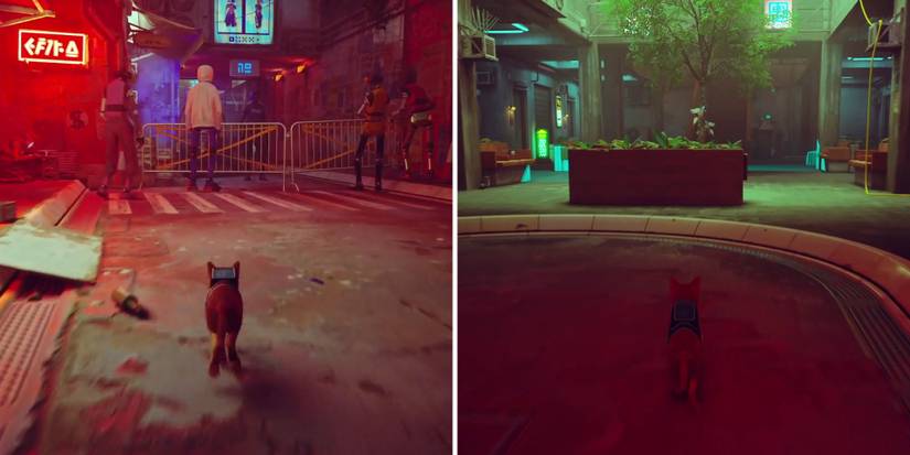 stray-chapter-10-midtown-complete-guide-18-residence-return