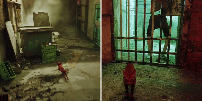 stray-chapter-11-jail-complete-guide-04-clementine-cell