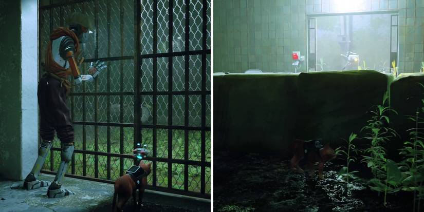 stray-chapter-11-jail-complete-guide-10-courtyard-1