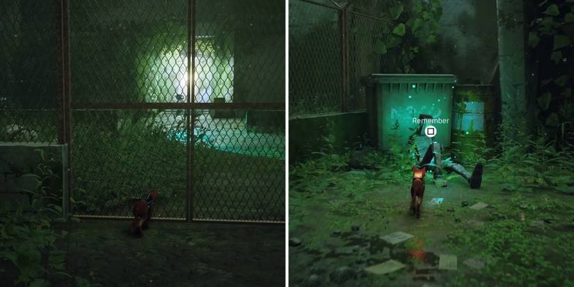 stray-chapter-11-jail-complete-guide-11-courtyard-2