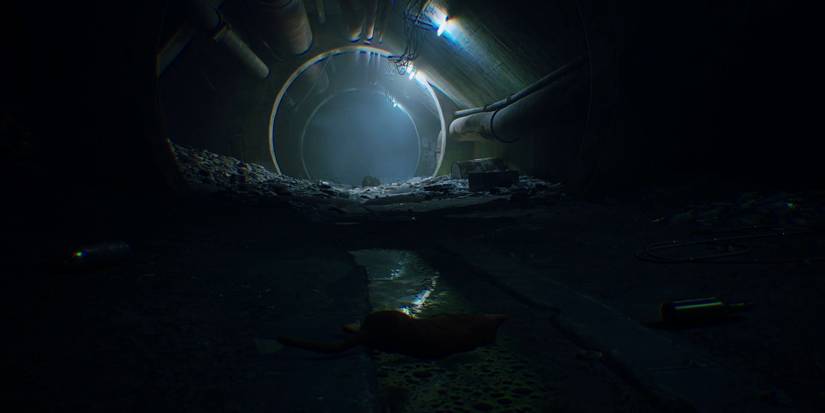 stray-chapter-2-dead-city-complete-guide-01-injured-cat