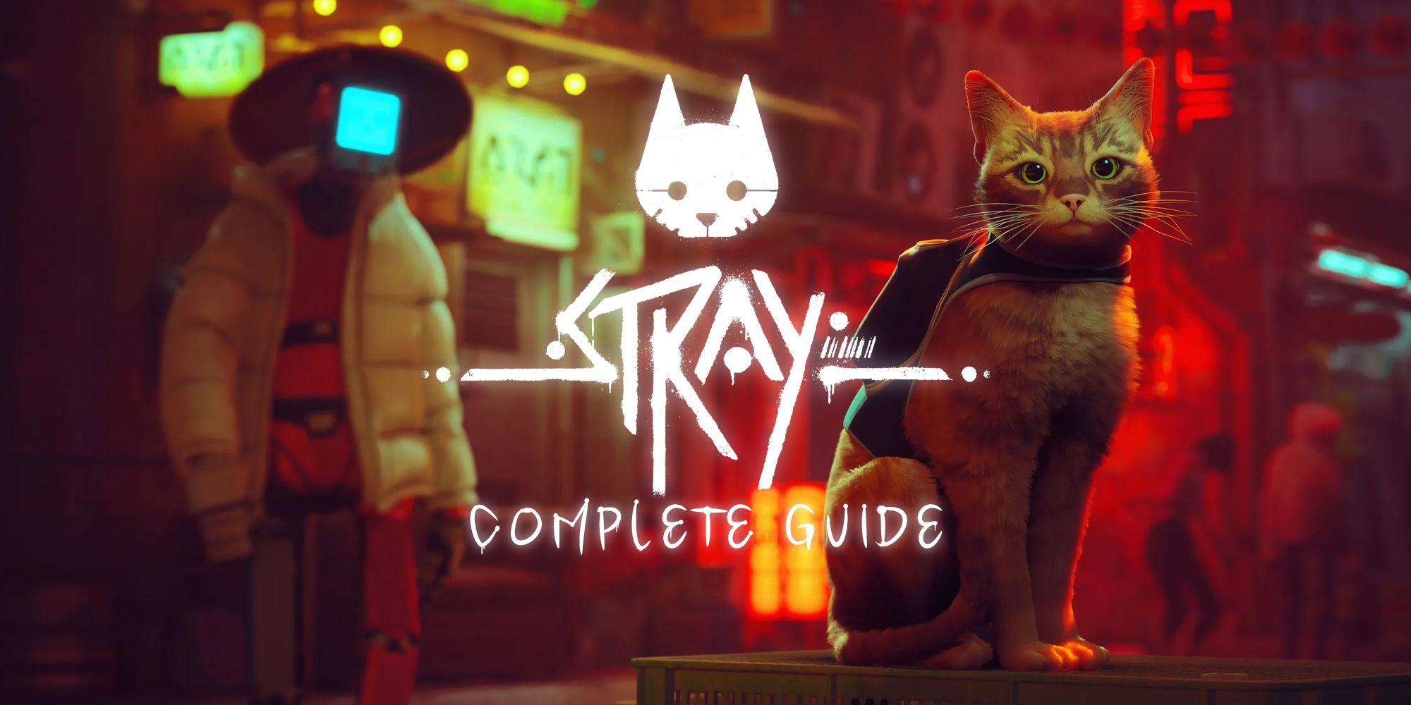 A complete guide to Stray