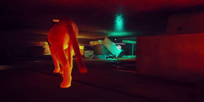 stray-every-memory-18-midtown-3