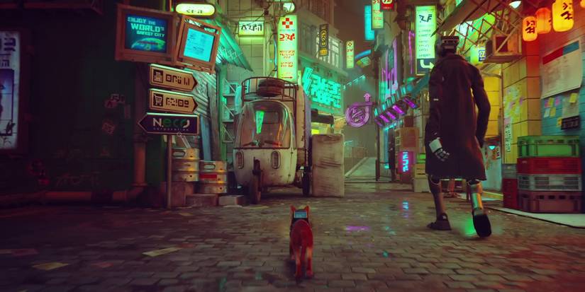 stray-explore-midtown