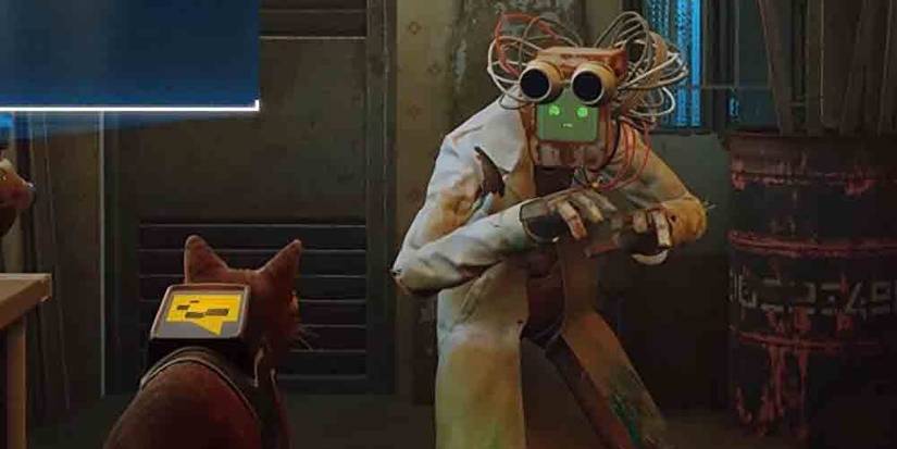 Doc and cat in Stray