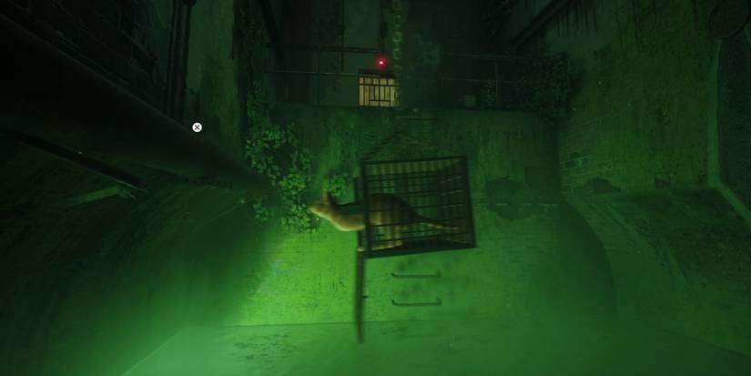 stray-how-to-break-out-of-prison-01-breaking-the-cage