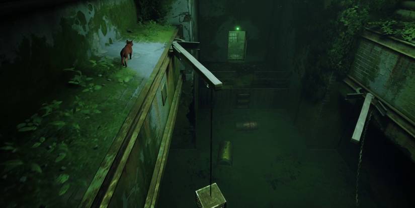 stray-how-to-break-out-of-prison-03-second-cell