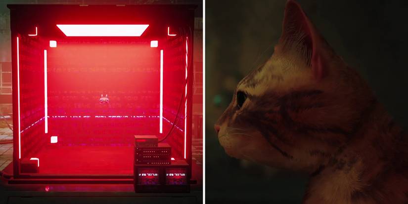 stray-how-to-break-out-of-prison-07-b-12-cell