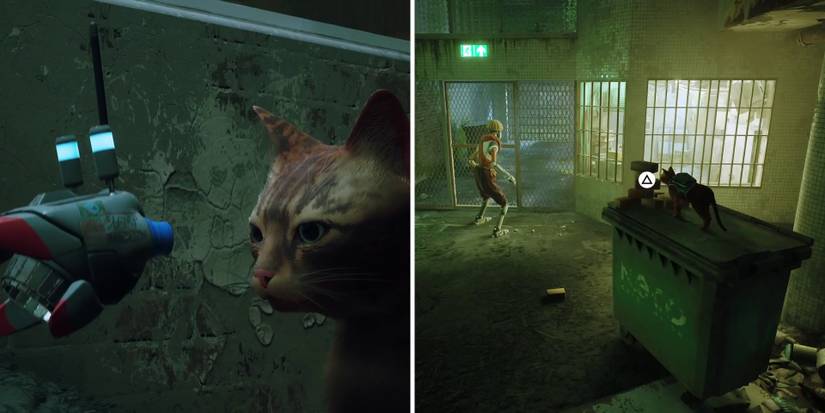 stray-how-to-break-out-of-prison-10-breaking-the-window