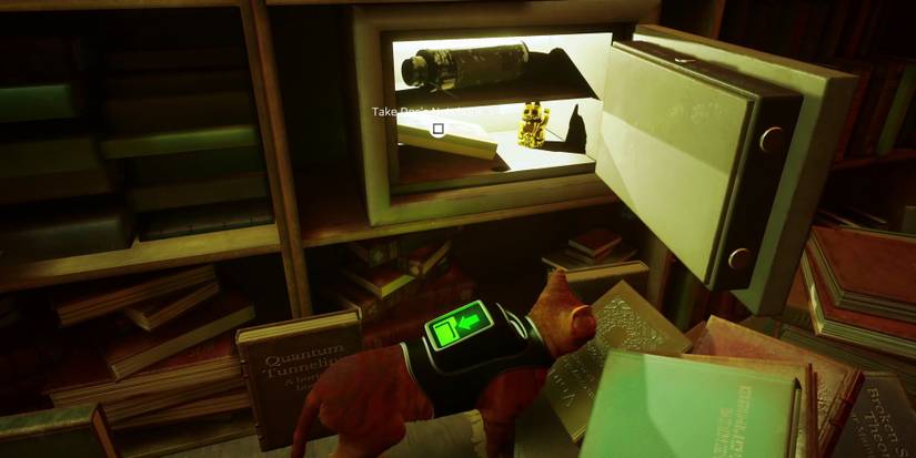 stray-how-to-find-all-4-notebooks-04-docs-notebook