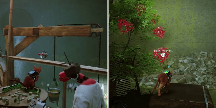 stray-how-to-find-the-colored-plants-02-red-plant-location