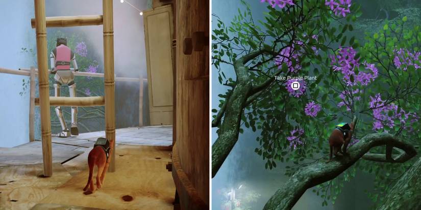 stray-how-to-find-the-colored-plants-03-purple-plant-location